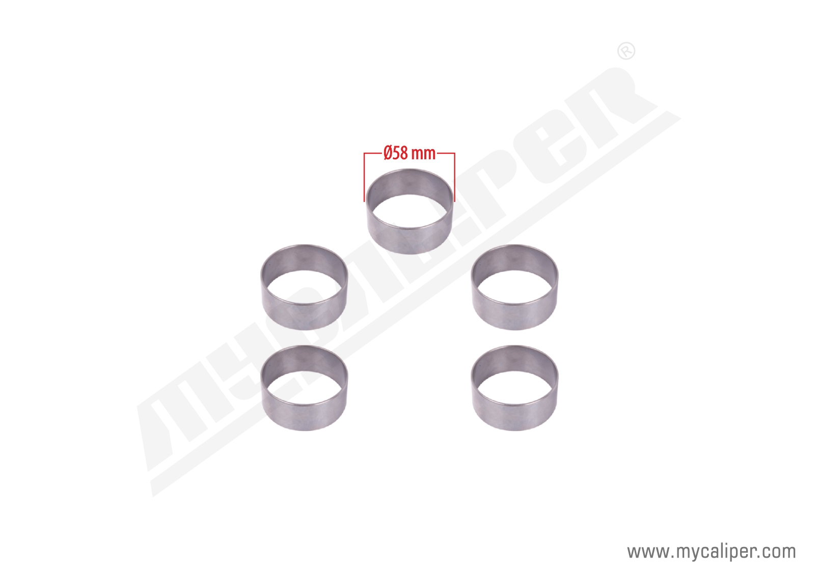 Caliper Bearing Outer Race Kit 