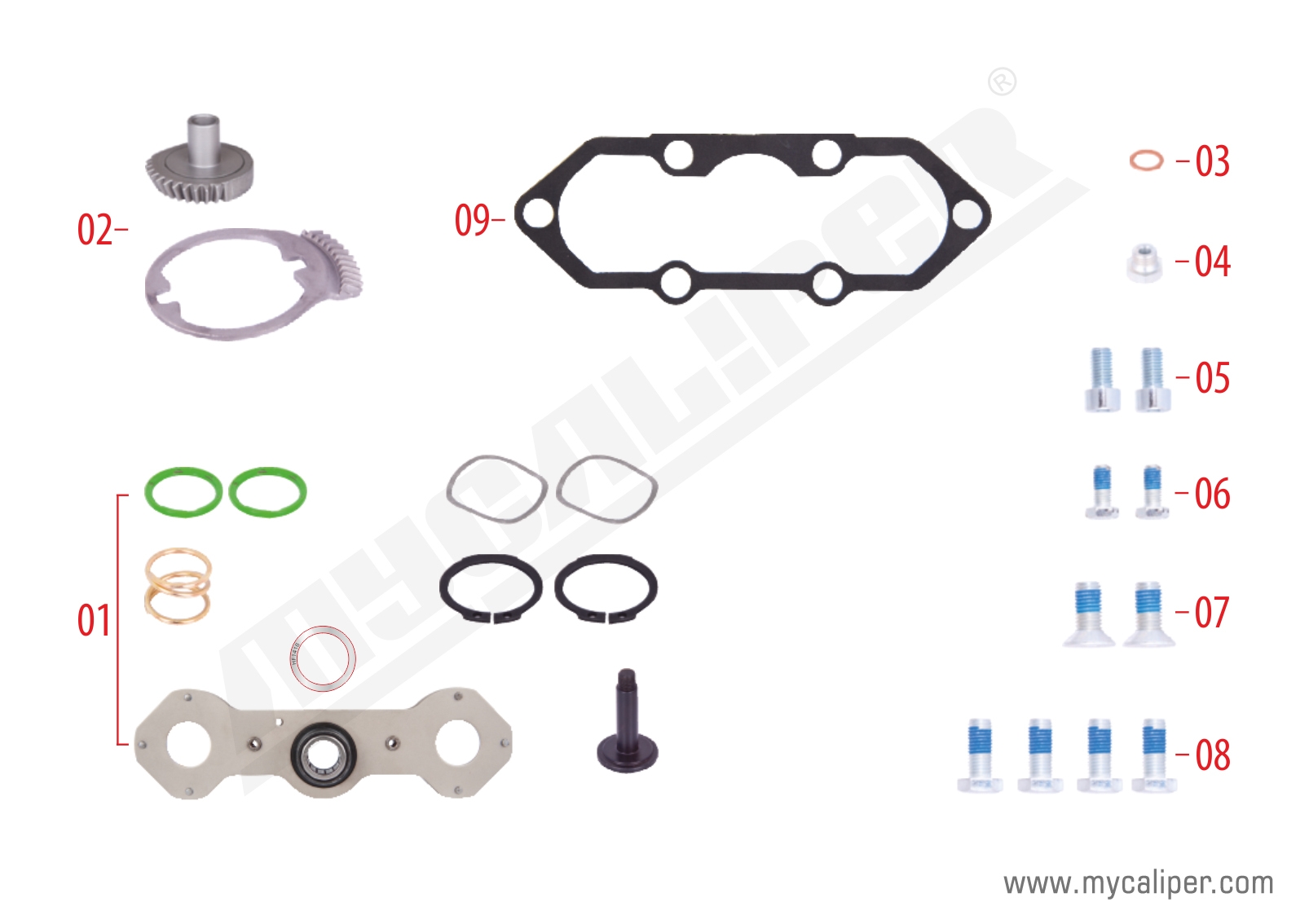 Caliper Mechanism Repair Kit (Left) 