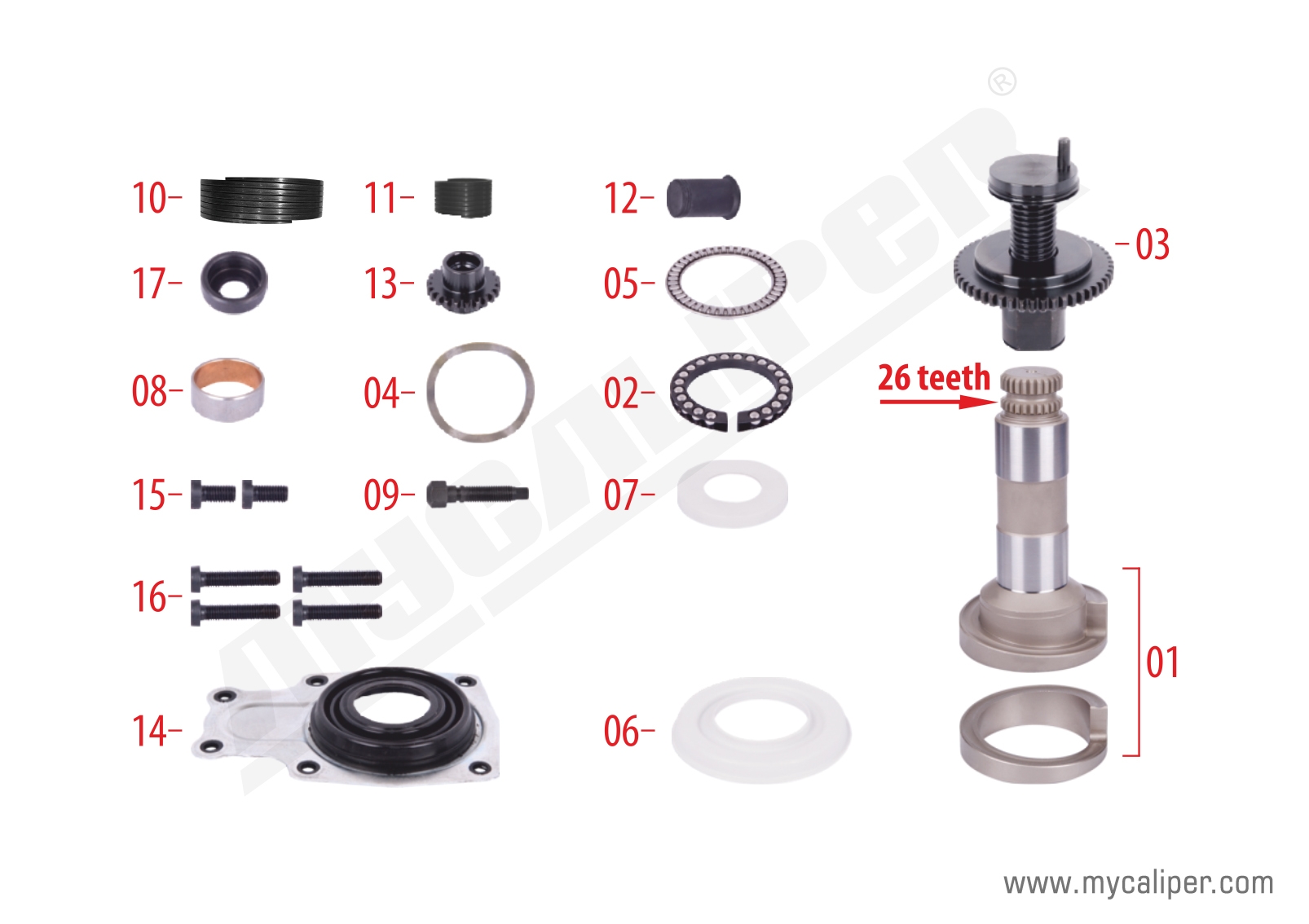 Caliper Overhaul Repair Kit (Rear - Right)