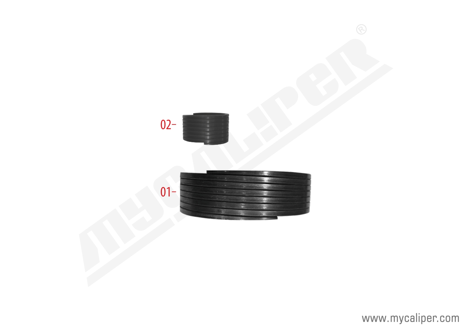 Caliper Spring Kit (Right) 